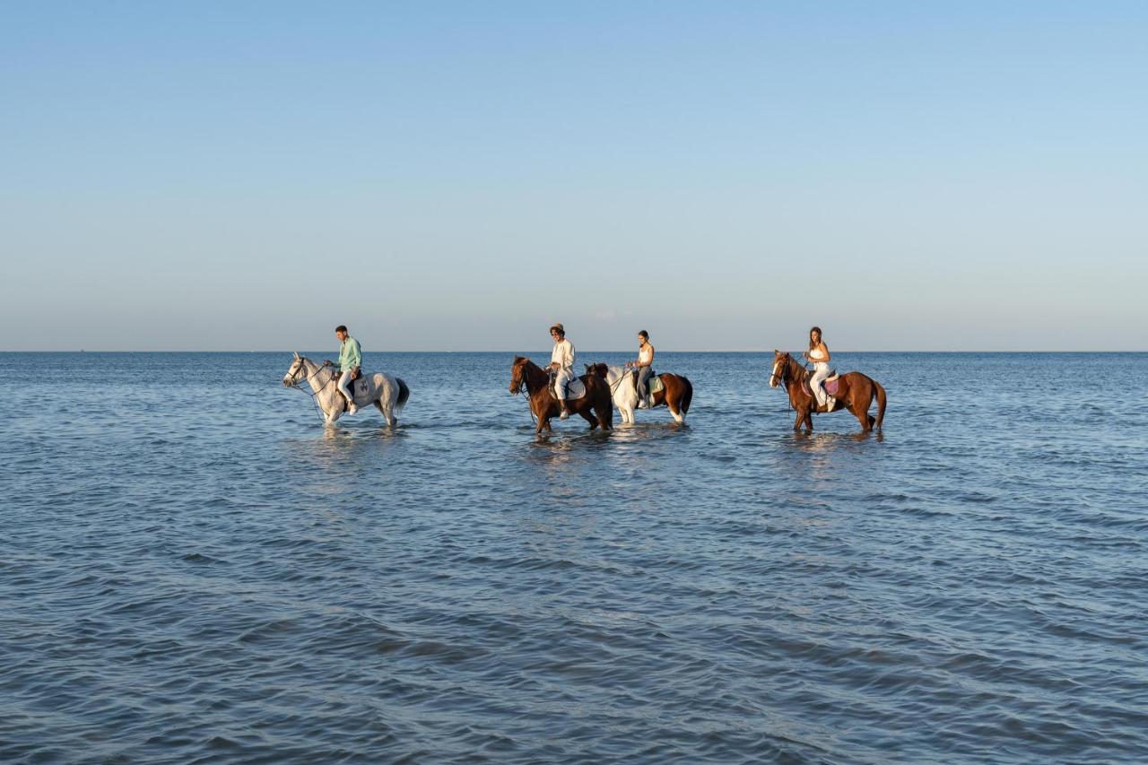Ancient Sands Golf And Residences 5* Hurgada